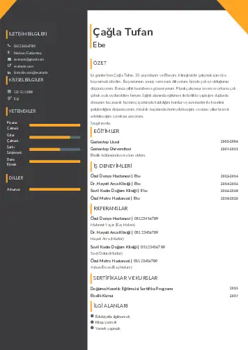 Ebe Cv Örnekleri cv indir